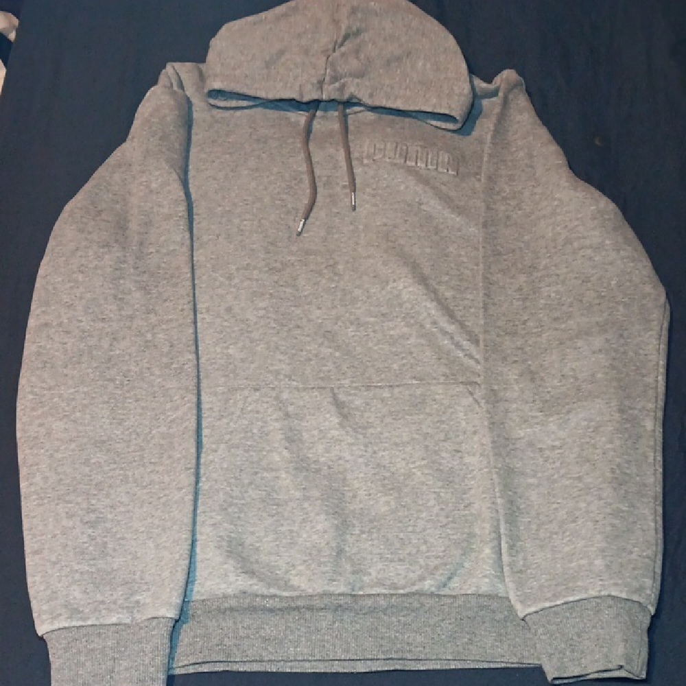 Puma Gray Hoodie with Subtle Logo
